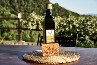 Apartamento La Lucertola