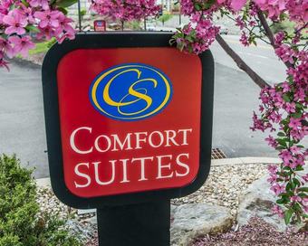 Hotel Comfort Suites Monroeville