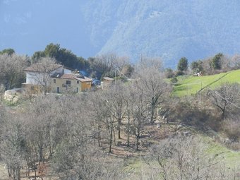 Agroturismo Agricampeggio L'oasi Del Pollino