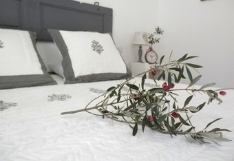 Hotel La Villa Aux Oliviers