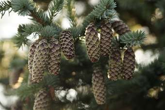 Hotel Guesthouse Gr�i Hundurinn