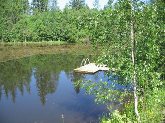 Pehtoorin-pirtti Countryhome