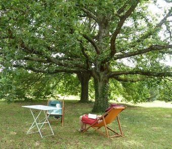 Hotel Chambres D'h�tes La Sorellerie