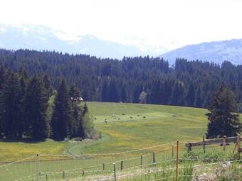 Apartamento G�stehaus Rimmel