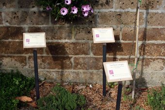 Bio B&B La Fanciullaccia