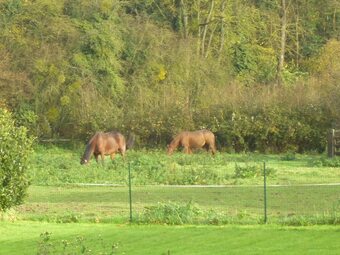House With 2 Bedrooms In Touffreville-sur-eu, With Furnished Garden And Wifi - 4 Km From The Beach