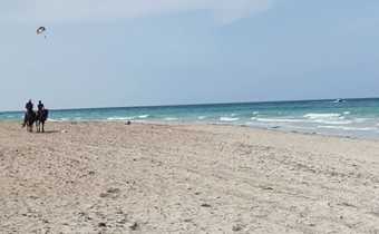 House With 3 Bedrooms In Djerba Midoun, With Terrace And Wifi - 800 M From The Beach