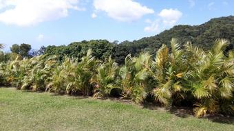 House With 2 Bedrooms In Saint-claude, With Wonderful Sea View, Enclosed Garden And Wifi - 15 Km From The Beach