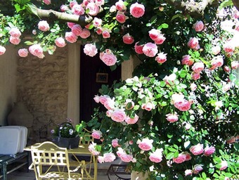 House With One Bedroom In Cavaillon, With Pool Access, Enclosed Garden And Wifi