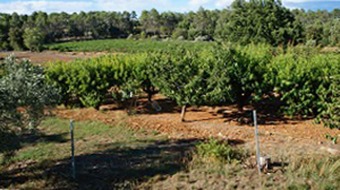 House With 2 Bedrooms In Taradeau, With Pool Access And Furnished Garden - 32 Km From The Beach