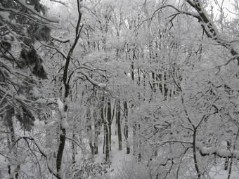 Bed & Breakfast Bridgeford Farm