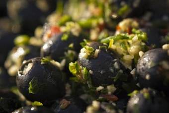 Landhotel M�llhagen