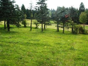 Holiday Home Abendfrieden Friedrichshohe