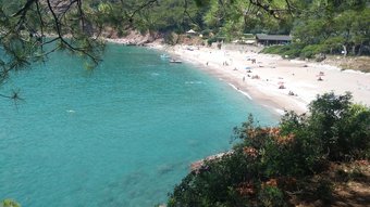 Bed & Breakfast Faralya Limon Hotel