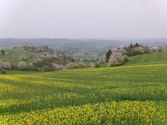 Apartamento Ferienwohnung Veit