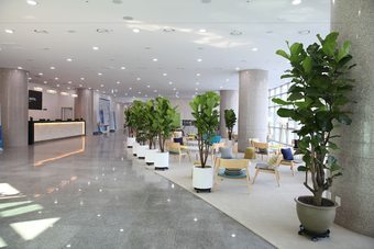 The White Hotel Pyeongchang