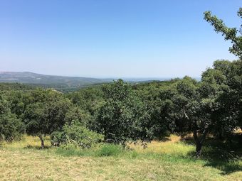 Apartment With 2 Bedrooms In Montauriol, With Pool Access, Furnished Garden And Wifi - 34 Km From The Beach