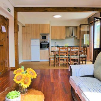 Apartamentos Bidezarra Etxea