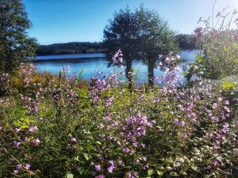 Ellas Bed & Breakfast