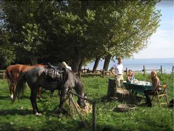 Agroturismo Castello Di Santa Cristina