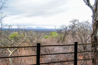 Zingela Nature Reserve - Baobab Tented Camp