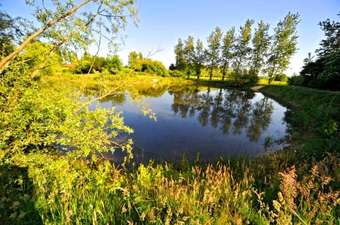 Bed & Breakfast Domaine De La Belli�re