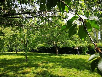 Les G�tes De Pique Les Muses