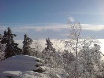 Hostal Pension Schmidt