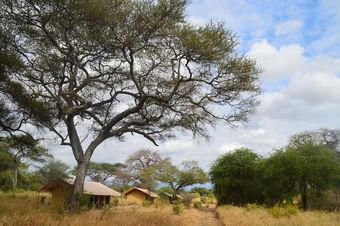 Posada Baobab Tented Camp