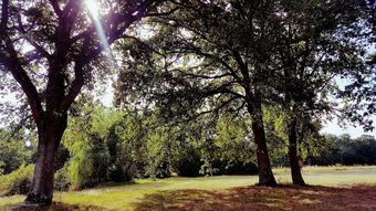 Hotel Auberge De Villechaume