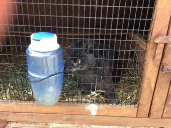 Apartamento Ferienbauernhof Familie Stratmann