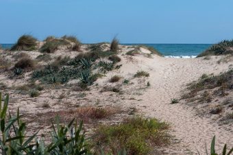 Apartamentos Pandora 1