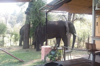 Posada Warthogs Bush Camp
