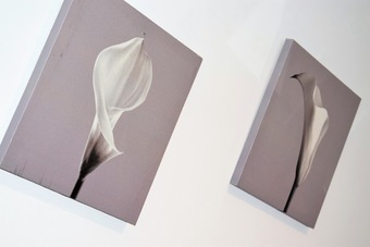 Apartamentos The Castle - Yourapartment