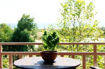 Hotel Elizabeth's House