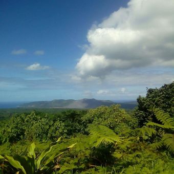 Hotel Tanna Top View Bungalows