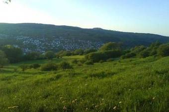 Peaceful Apartment In Grossalmerode Near The Forest