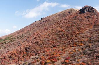 Bed & Breakfast B?b?c Nagayu