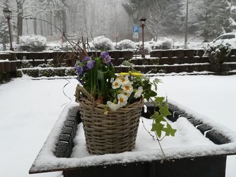 Berghotel Friedrichsh�he