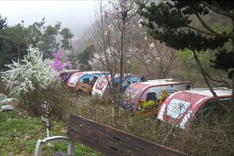 Jamping Holiday Daebudo Island - Campsite