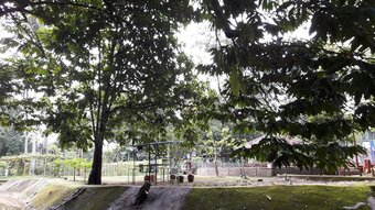 Hotel Kampung Janda Baik