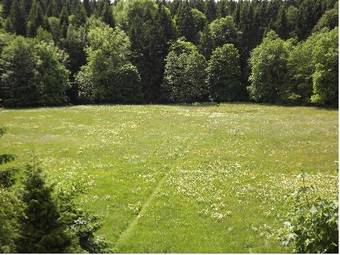 Hostal Pension Bodetal