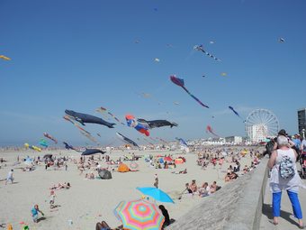 Gite Rural Entre Terre Et Mer