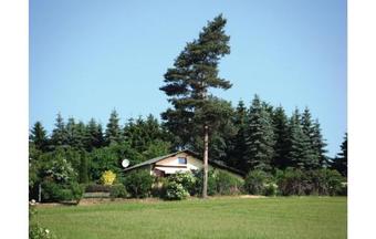 Holiday Home Waldgrundst�ck P