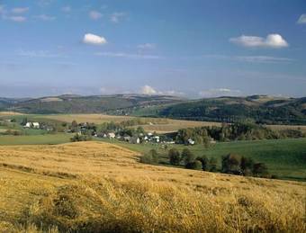 Waldhotel Kreuztanne