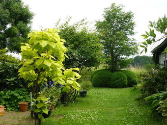 Apartamento Chestnut Cottage