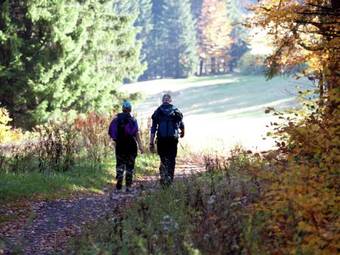 Spacious Apartment In Armsfeld Hesse With Sauna