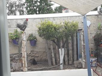 Agroturismo Tzionis Petroktisto Holiday Stonehouse