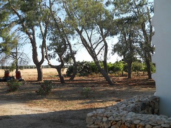 Agroturismo Agriturismo Tenuta Perruzzi