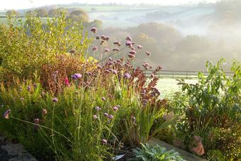 Bed & Breakfast Trussel Barn
